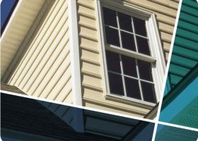 8 Ways to Keep Birds Out of Your Gutters