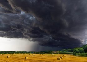 nature-3159410_1920