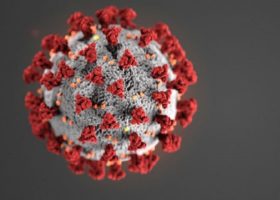 COVID-19 pandemic